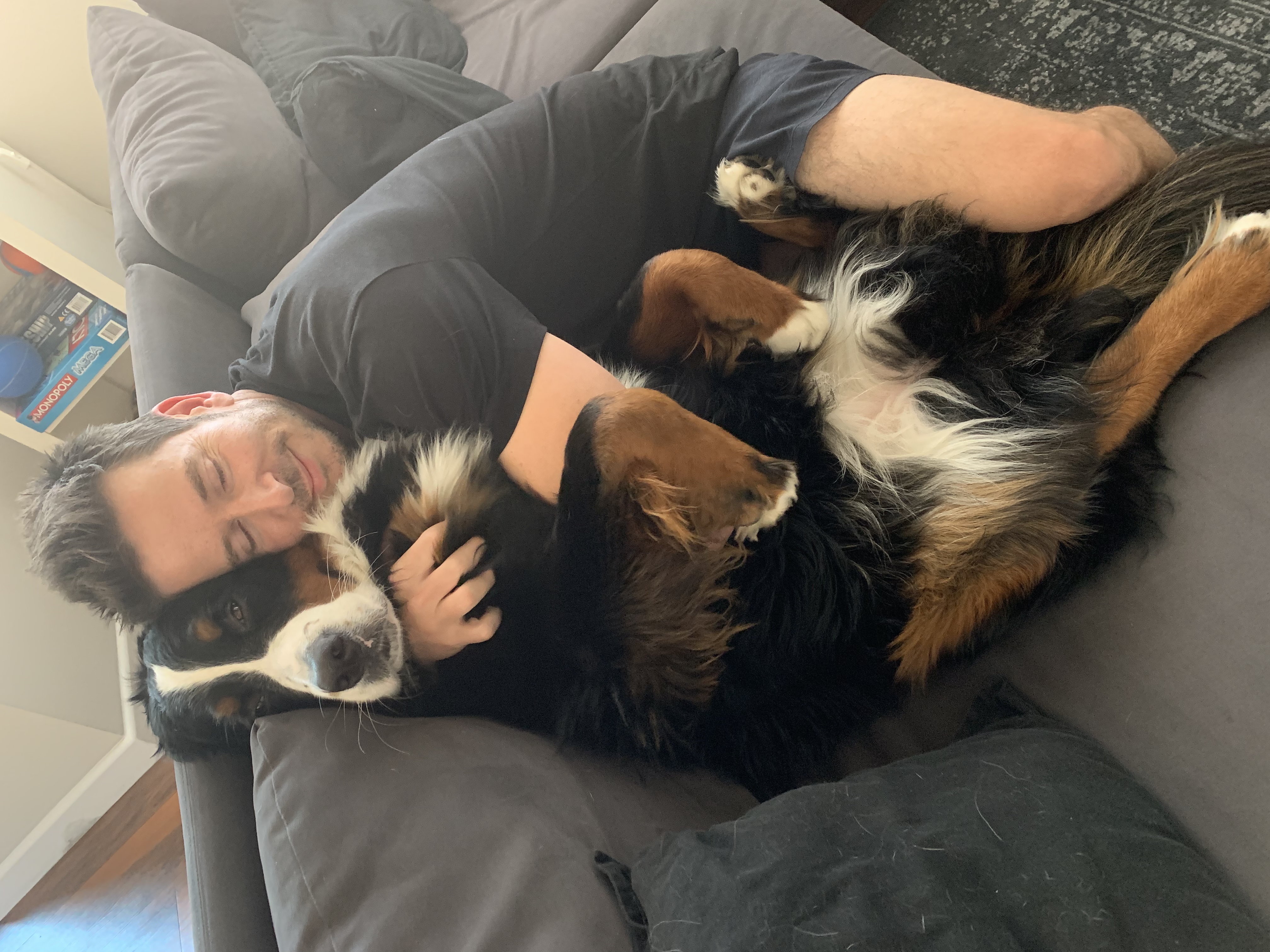 Jojo cuddling on the couch